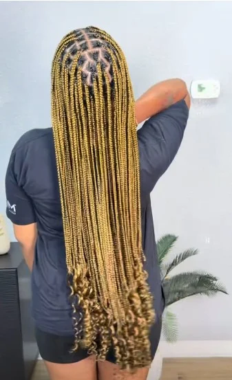Regular Knotless Braids D