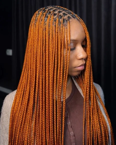Regular Knotless Braids B